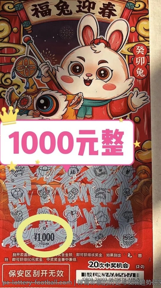 体育彩票的历史与发展趋势研究